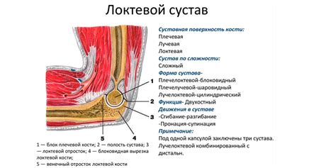 Причины боль в мышце около локтевого сустава